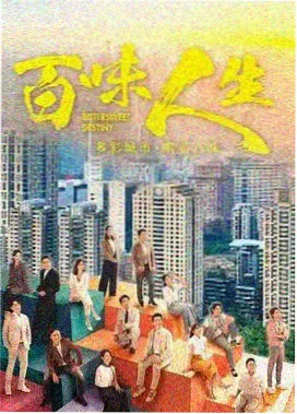 剧集雾港来信封面